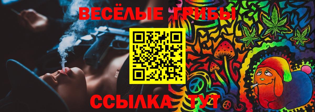 Псилоцибиновые грибы мухоморы Кудрово