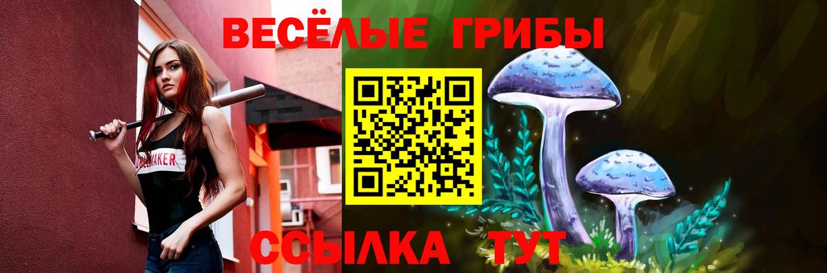 цена   Псилоцибиновые грибы Magic Shrooms  Вход с VPN  Кудрово 