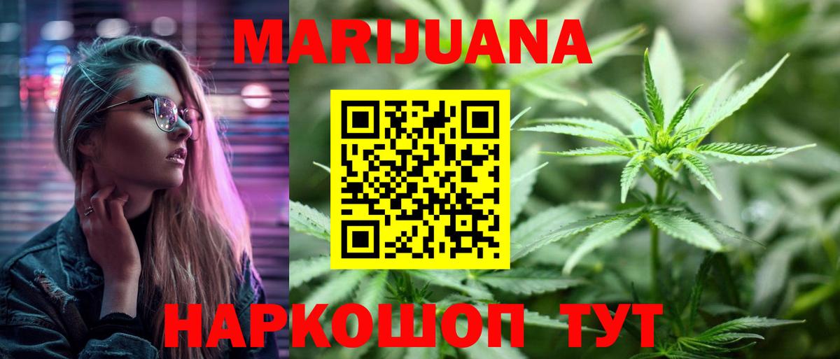 Каннабис OG Kush Кудрово